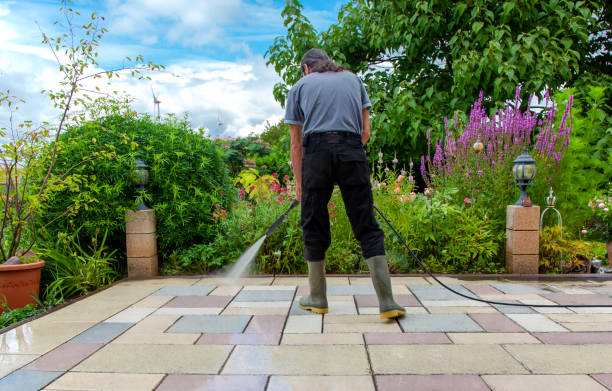 Animal Enclosure Cleaning in Richwood, LA