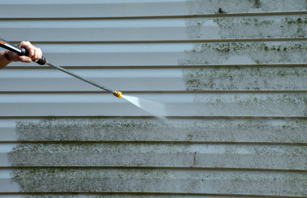 Best Gutter Cleaning  in Richwood, LA